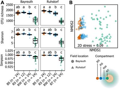 Consistent prokaryotic community patterns along the radial root axis of two Zea mays L. landraces across two distinct field locations